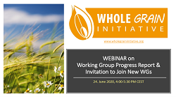 WEBINAR on WGI Working Groups Progress & Invitation - 24 June 2020