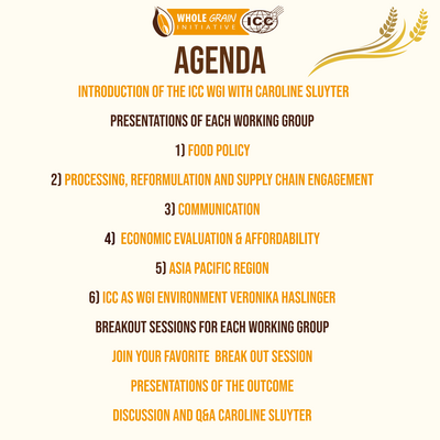 agenda 1100 400